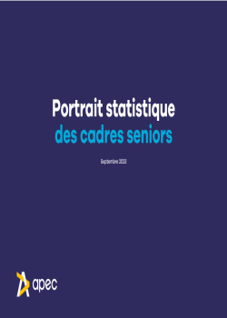 Portrait statistique des cadres seniors (apec.fr)