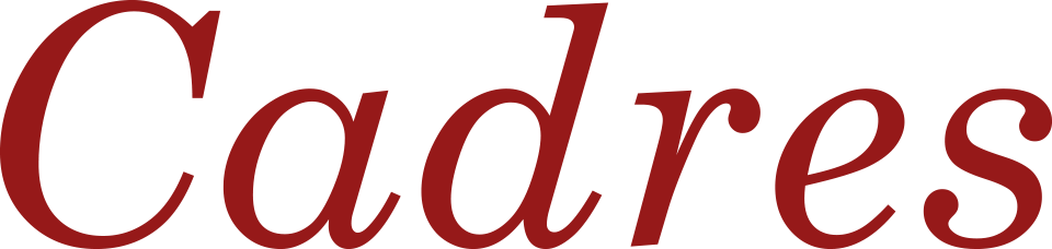 Logo revue Cadres